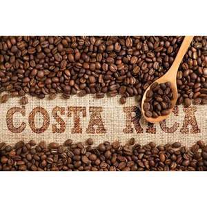 Costa Rican Tarrazu - Fresh Roasted